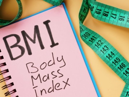 Body mass index (BMI) calculator