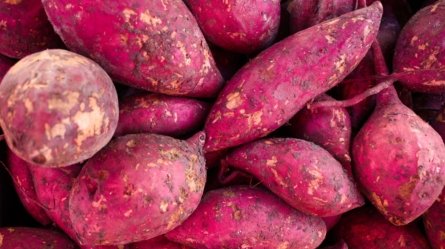 Sweet potatoes are a rich source of nutrients such as vitamins and minerals.