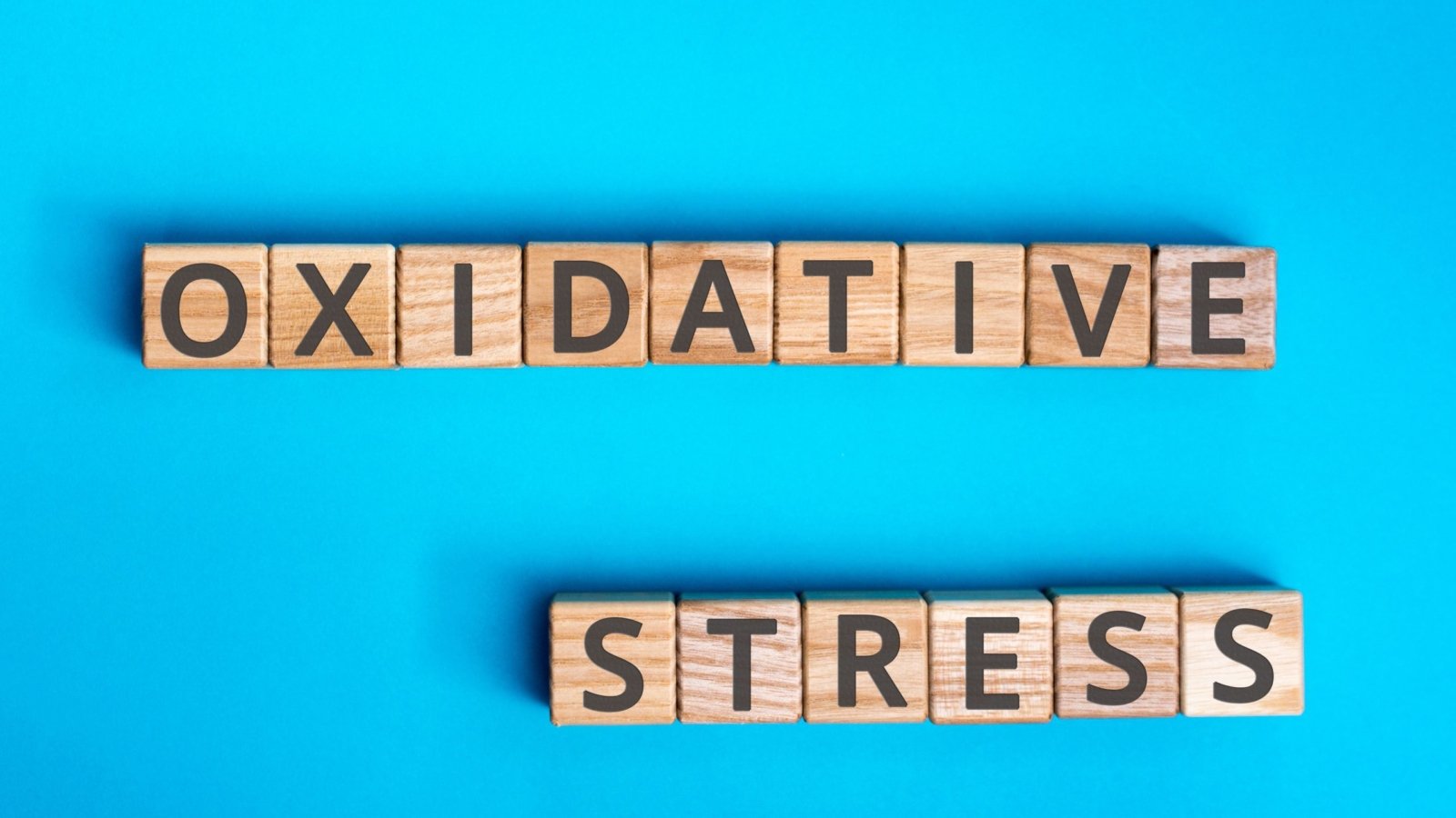 Oxidative stress inscription wooden cubes with letters on a blue background.