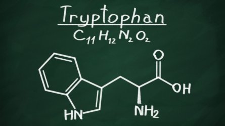 Structural model of Tryptophan on a blackboard.