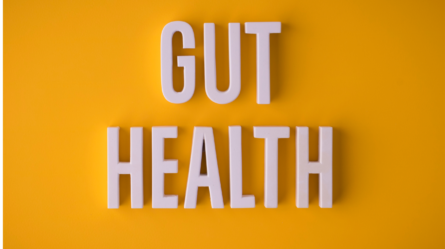 gut health and weight loss