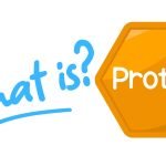 What is protein