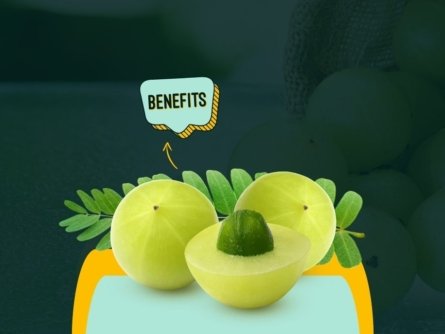 Benefits of Amla